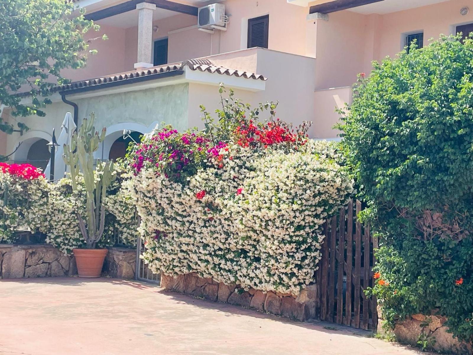 Appartamento Le Querce Vaccileddi Buitenkant foto